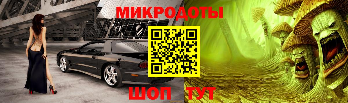 Галлюциногенные грибы Psilocybine cubensis Качканар