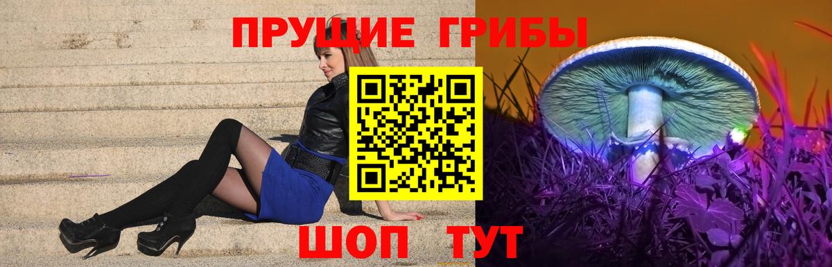 Галлюциногенные грибы Psilocybine cubensis  Вход с VPN  Качканар  Галлюциногенные грибы GOLDEN TEACHER 